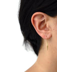 swell dangle earrings