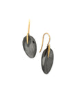 black rhodium with 14k yellow gold point / small petal and point earrings