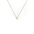 18k yellow gold / kernel tiny totem necklace