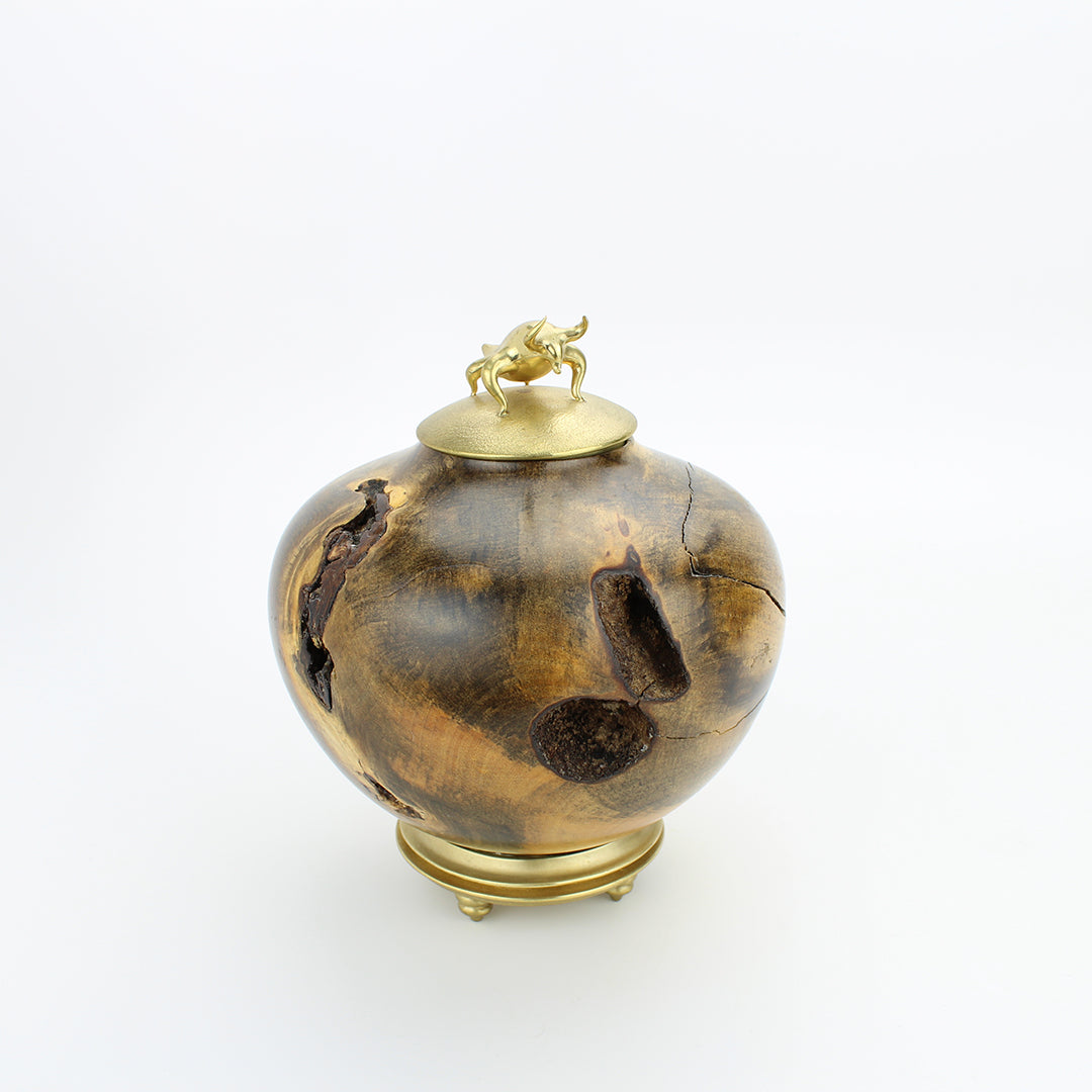  bull vessel, kriest